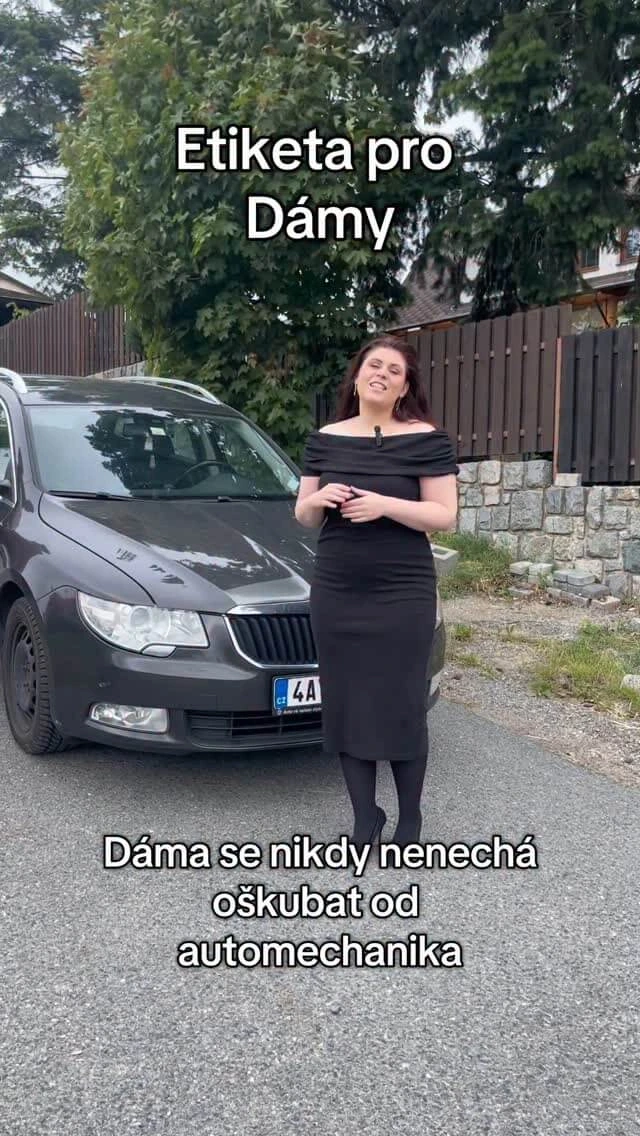 Dáma Reel - dildo a automechanik