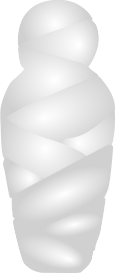 Mumifikace