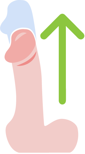 Natahovače penisu