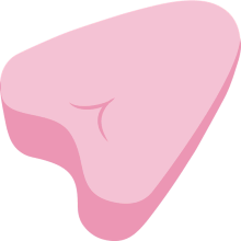 Menstruační tampony (houbičky)