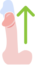 Natahovače penisu (extendery)