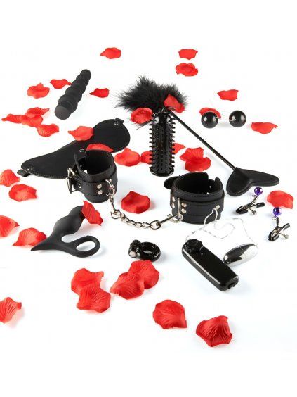 Sada erotických pomůcek TOYJOY Amazing Pleasure Sex Toy Kit