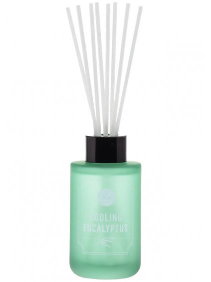 Tyčinkový difuzér DW Home Cooling Eucalyptus  chladivý eukalyptus, 100 ml
