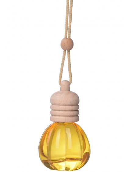 Závěsný aroma difuzér Esprit Provence Citron Menthe  citrón a máta, 10 ml