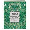 Vonná svíčka William Morris At Home Bergamot & Vetiver  bergamot a vetiver, 180 g