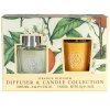 Dárková sada difuzéru a vonné svíčky Somerset Toiletry Orange Blossom  pomerančové květy