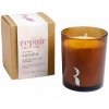 Vonná svíčka Somerset Toiletry Tangerine  Ylang Ylang & Mandarin – Ylang Ylang a mandarinky, 160 g