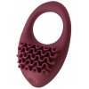 Nabíjecí vibrační erekční kroužek Pure Passion Stellar Wine Red