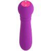 Mini vibrátor FemmeFunn Ultra Bullet Purple