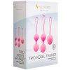 Sada venušiných kuliček Trio Kegel Trainer