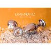 Anální kolík se šperkem Diamond Clear Sparkle XL  čirá