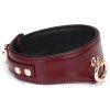 Uzamykatelný kožený obojek s vodítkem Liebe Seele Wine Red
