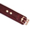 Uzamykatelný kožený obojek s vodítkem Liebe Seele Wine Red