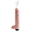 82431 ar
